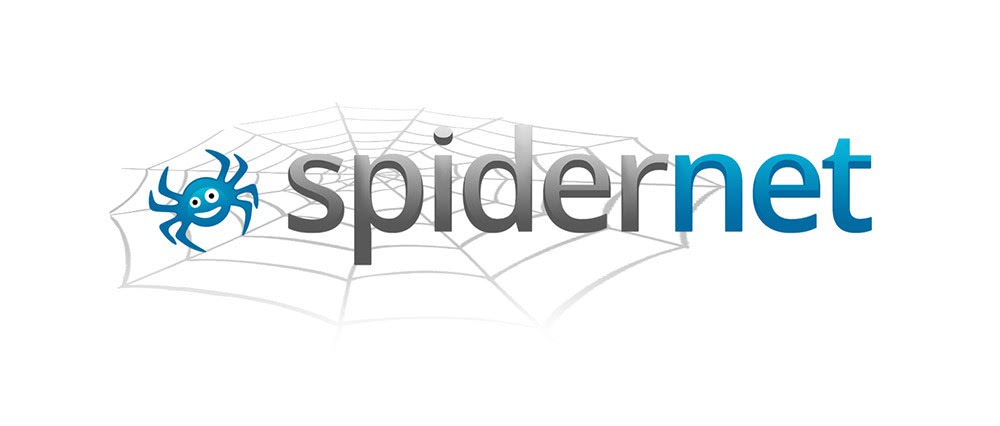 Logo z pajączkiem - dla Spidernet